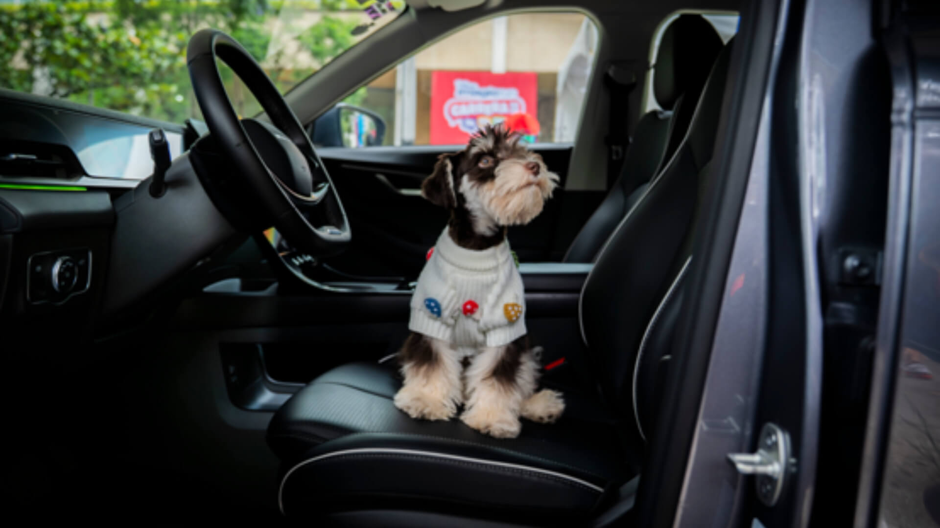 Viajar con mascotas ya influye en la elección de auto: por qué el diseño pet-friendly gana relevancia